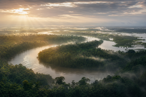 Dichter zentralafrikanischer Regenwald mit breitem Fluss, Morgennebel und geheimnisvoller Uferlinie, ohne Schrift, Karten oder moderne Gegenstaende.